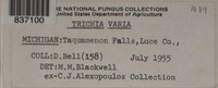 Image Associated With the Occurence